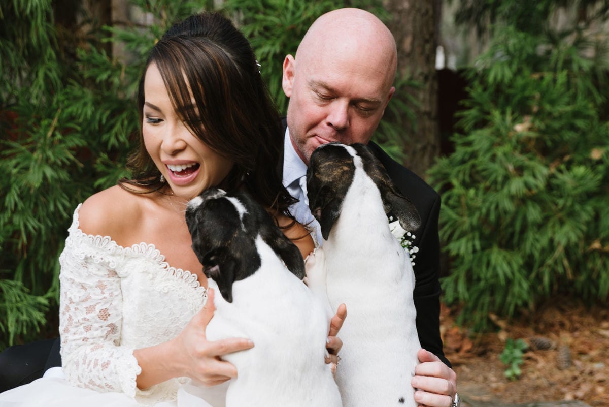 Dog Smooches