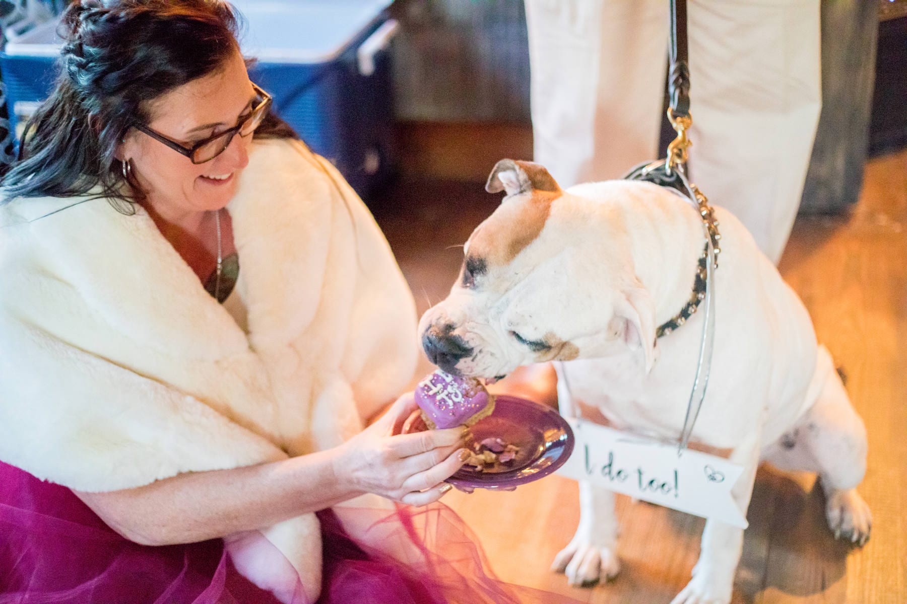 smyrna-wedding-pups7